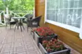 Садовый паркет Cm-decking Natur дуб 30х30 см
